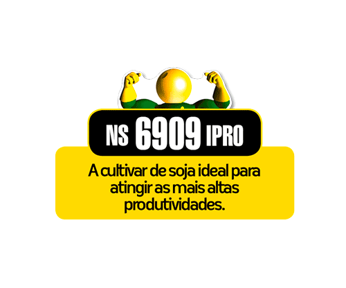 Semente Soja NS6909IPRO P1 TSI-B